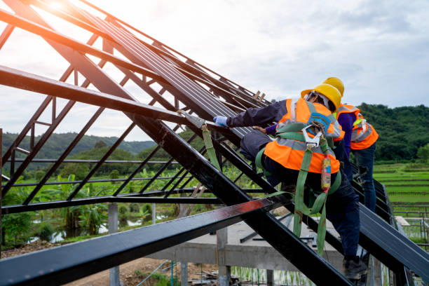 Gutter Installation and Roofing in Mclendon Chisholm, TX