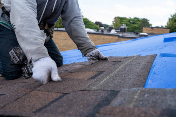 Best Storm Damage Roof Repair  in Mclendon Chisholm, TX